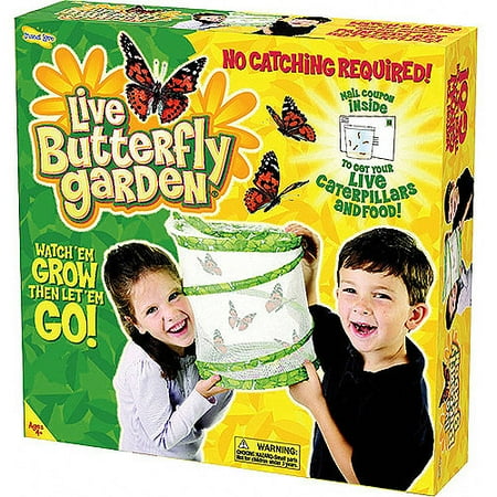 As Seen on TV Butterfly Garden by Insect Lore