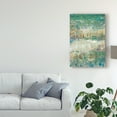 thumbnail image 3 of Trademark Fine Art 'Flower Path I' Canvas Art by Tim OToole, 3 of 4
