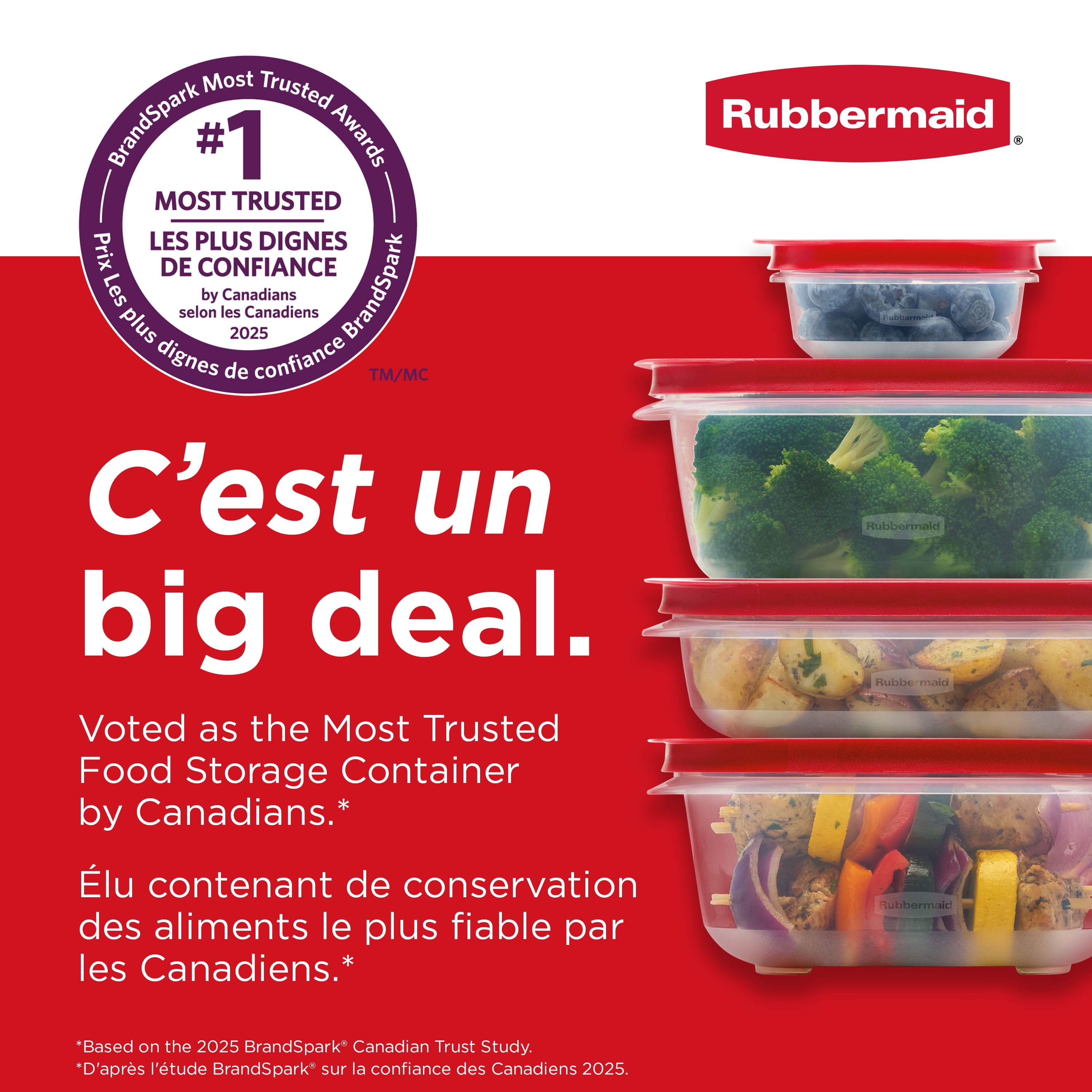 Rubbermaid 41.5-Cup EasyStore Rectangle Food Storage Container with Lid