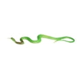thumbnail image 2 of DOMELAY Scary Fake Snake Toy Educational Toy Gift Creative Fun Versatile Halloween Snake Green, 2 of 9