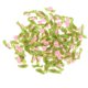 thumbnail image 2 of 100 Piezas de Flores de Lazo de Tela Satinada Hugo Manualidades, 2 of 7