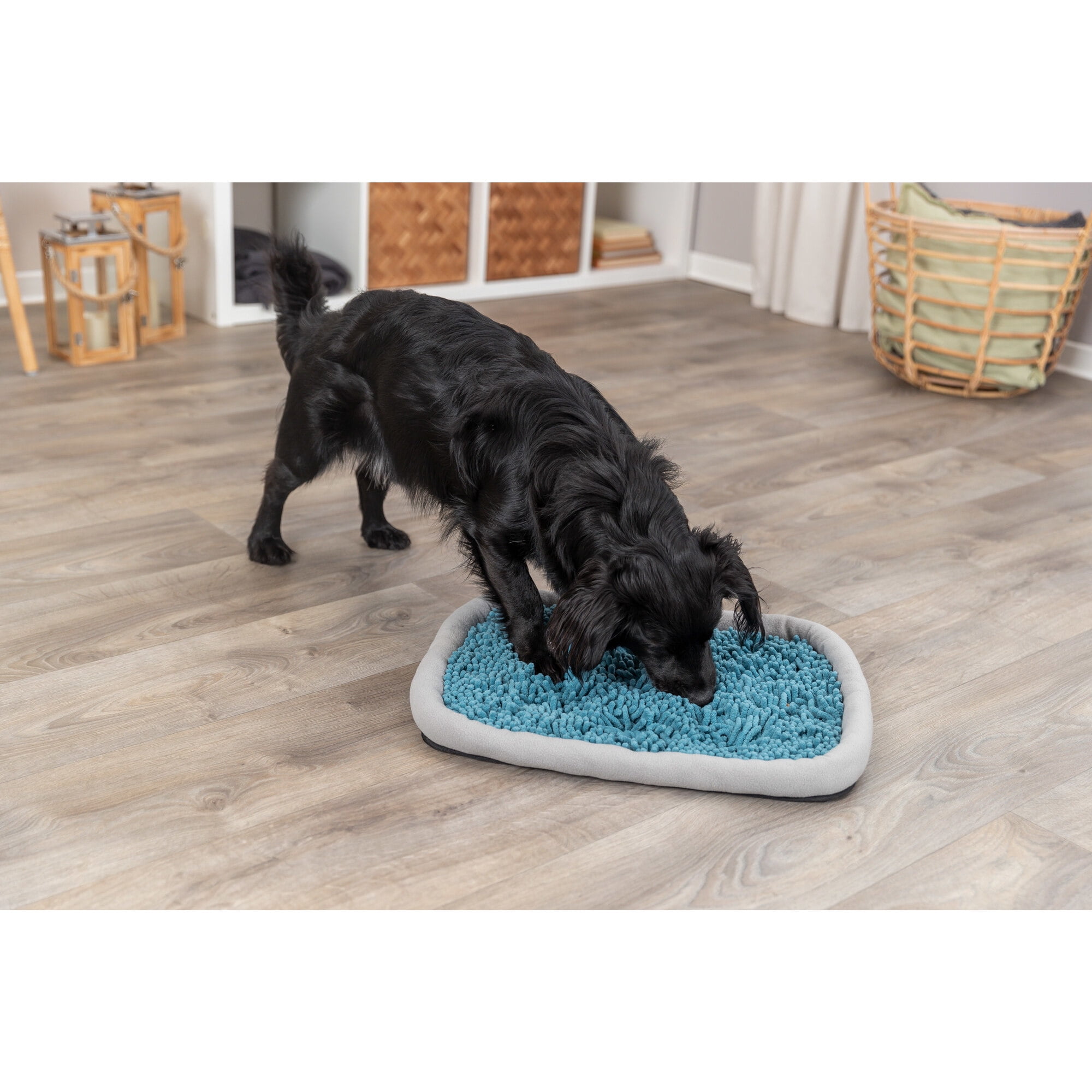 Trixie snuffle mat sale