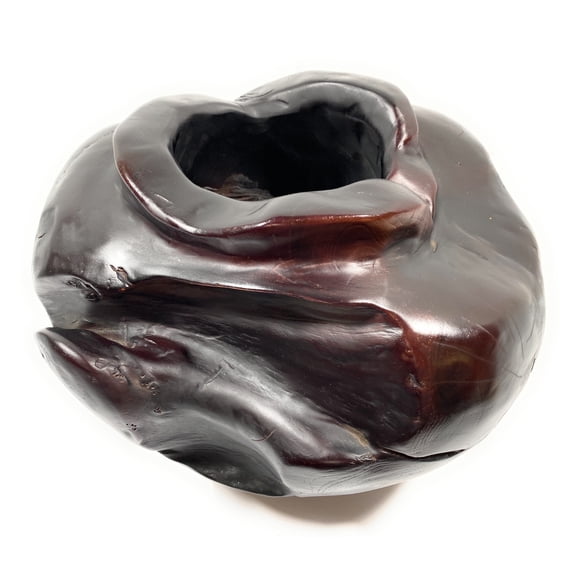 Teak Root Bowl Walnut Stain 14" X 14" X 10" - Centerpiece | #cin14b