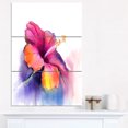 thumbnail image 1 of Red Yellow Hibiscus Flower in Blue Flower, 1 of 1