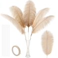 thumbnail image 1 of Kit de plumas de avestruz Soarer, color champán, 86 cm, 10 unidades, 1 of 6