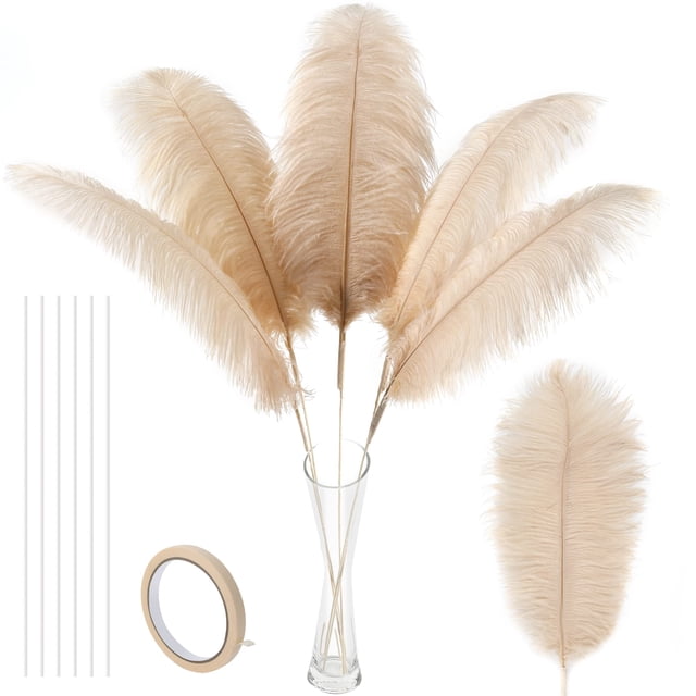 Kit de plumas de avestruz Soarer, color champán, 86 cm, 10 unidades