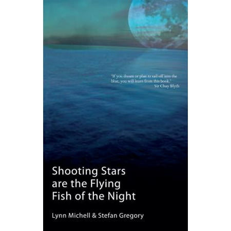 Shooting Stars Are The Flying Fish Of The Night -
