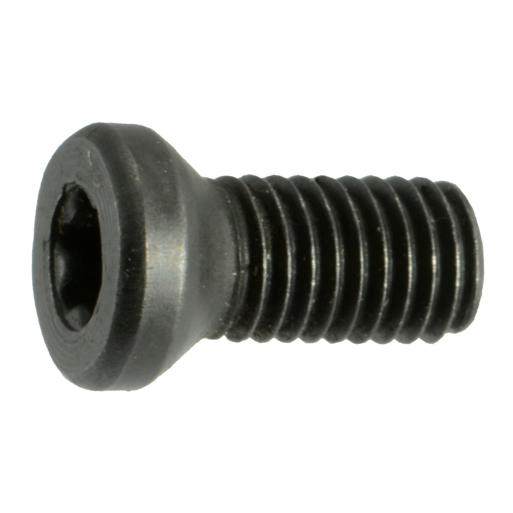 6-48-x-1-4-black-oxide-t-10-star-drive-weaver-oval-head-gun-screws