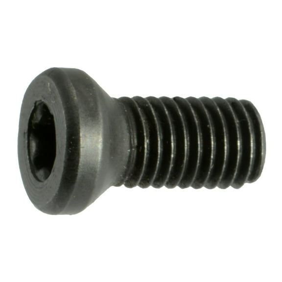 #6-48 x 1/4" Black Oxide T-10 Star Drive Weaver Oval Head Gun Screws (12 pcs.)