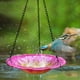 thumbnail image 4 of Baño colgante creativo para pájaros, bebedero para pájaros, comedero para pájaros con gancho, bandeja colgante para pájaros 8 pulgadas, 4 of 9