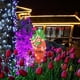 thumbnail image 3 of Decoraciones de Pascua, insertos iluminados para patio de Pascua, insertos decorativos de acrílico para piso, decoraciones de patio al aire libre con luces, luces LED decorativas de Pascua artificiale, 3 of 7