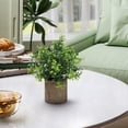 thumbnail image 5 of Spring Fake Plants, Artificial Tropical Small Pot Green Plants Indoor Office Table Kitchen Bathroom Home Decor, Semi Spherical Pulp Bonsai for Farmhouse Office Tabletop Decor, 1Pc(Green3,3x3x9.8"), 5 of 8