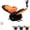 Multicolor, variant on OYPGUE Smart Sensing Flapping Butterfly Toy Interactive Cat | Smart Sensing Flapping Butterfly Toy, Interactive Butterfly Cat Toy, Motion Activated, Flapping Wings, Sensor Triggered