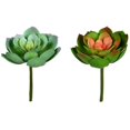 thumbnail image 1 of Vickerman FO195506 Assortiment de Pioches Succulentes Vertes de 6 Po, 1 of 2