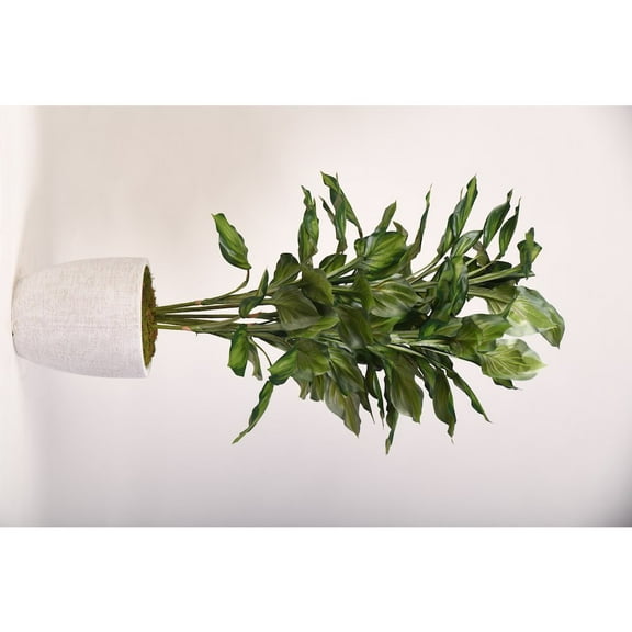 D & W Silks 56" Hosta Plant in Round White Planter