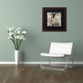 thumbnail image 3 of Trademark Fine Art "Lombardy VIII Sepia" Canvas Art by Alan Blaustein, Black Matte, Wood Frame, 3 of 4