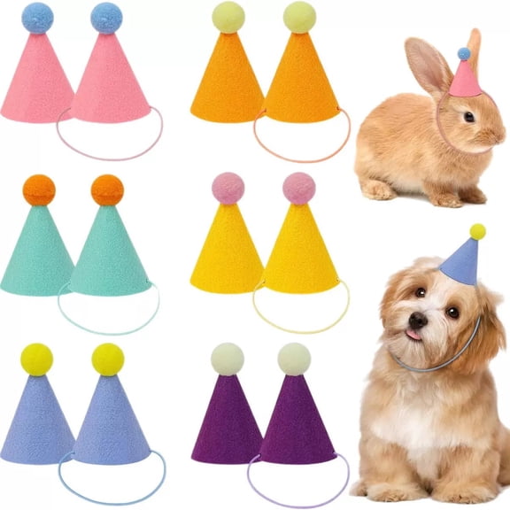 12 Pack Mini Party Hats, Birthday Party Cone Hats Animal Birthday Party Favors
