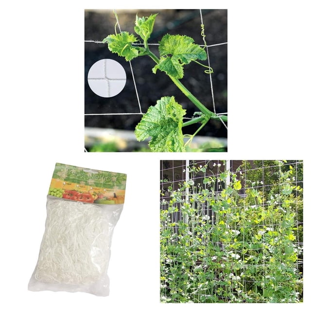 3x Vegetal Vegetal 10m 32.8ft Plantas Enrejado Red De Escalada FrutasPlanta shamjiam Vines Climbin Trellis Netting