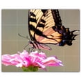 thumbnail image 1 of Picture-Tiles.com: Butterfly Ceramic Tile Wall Mural WAL500282-54M. 30"W x 24"H using (20) 6" x 6" Ceramic Tiles-Satin Finish, 1 of 3