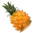 thumbnail image 1 of OULII Antenne de Voiture Décorative Topper Design Ananas Mousse Ornement de Toit de Véhicule pour Style Extérieur, 1 of 5