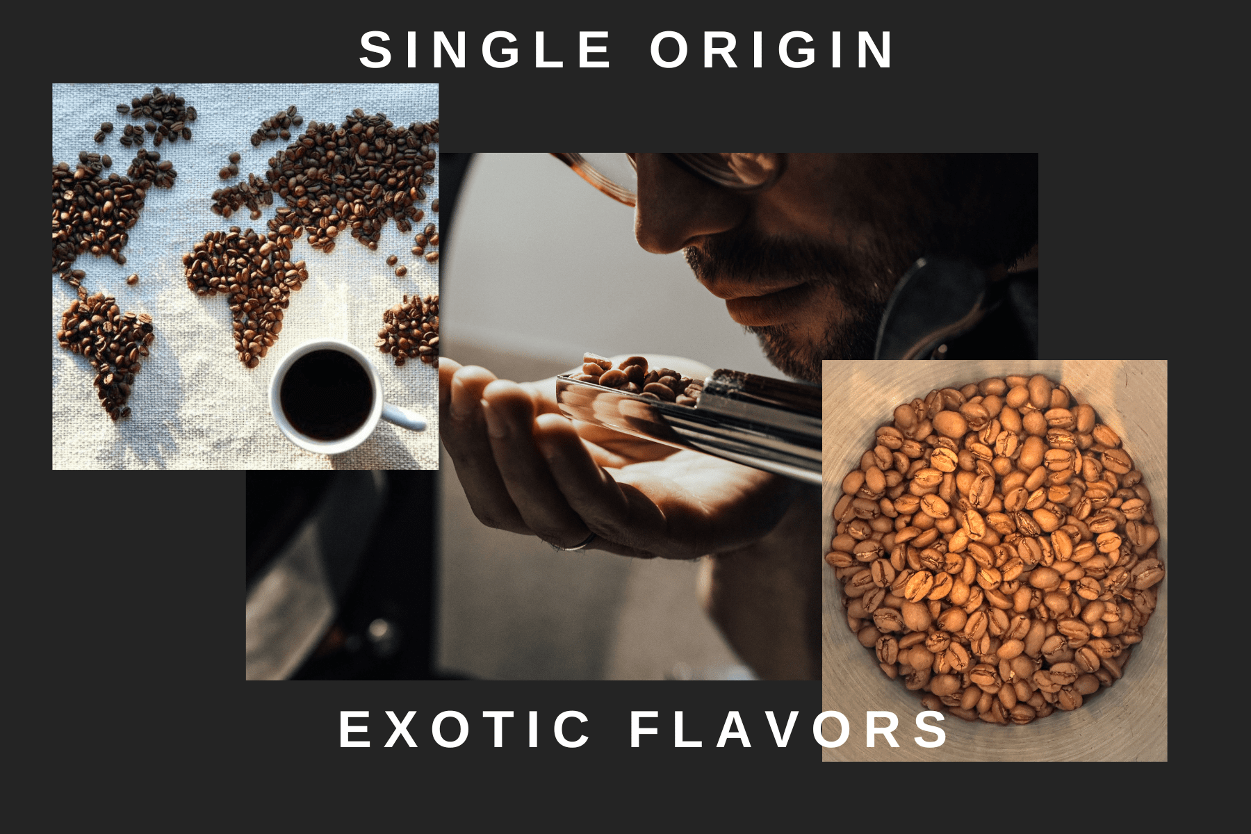 Sovereign Joe - 503 | Volcanic Heights Coffee - 1 lb - Whole Bean