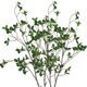 thumbnail image 1 of Warmter - Ramas artificiales de eucalipto de 43.3 pulgadas, ramas verdes de pino de hoja perenne para el hogar, boda, jard&iacute;n, oficina, 2 unidades Warmter NA, 1 of 6
