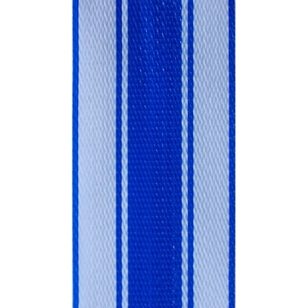 Lawn Chair Repair Kit WebbingPro(TM) Lawn Chair Webbing Kit - Blue and White Stripe Lawn Chair Webbing 3 Inches Wide 50 Feet Long Roll and 30 Webbing Screws ()