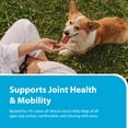 thumbnail image 4 of PRN Pharmacal Duralactin Joint Health Supplement Chews for Dog and puppies, Vanilla Flavor, 60 Count, 4 of 8