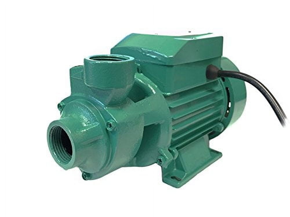 Replacement Part 155987, 120V Electric Water Pump, 145 GPH