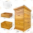 thumbnail image 6 of 10 Frame Langstroth Beehive Kit - Beeswax Coated 3-Layer Bee Hive (2 Deep Brood + 1 Medium Super) Professional Wood Box, Frames NOT Included, 6 of 7