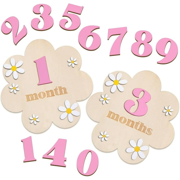 3D Wooden Daisy Baby Monthly Milestone Sign Cards 1-12 Months Interchangeable Monthly Milestone Wood Discs Announcement Sign for Baby Shower Newborn Photo Props Gifts(Pink)