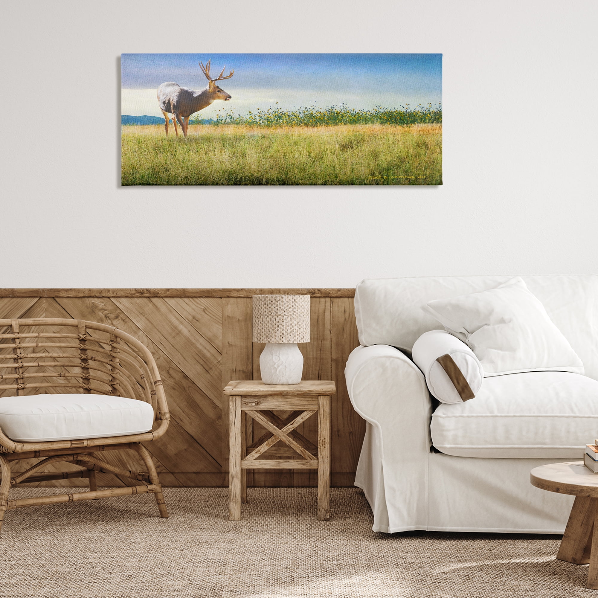 Stupell Industries Buck Deer in Field Landscape & Nature Photography Wrapped Canvas Art Print Wall Art, 48 x 20