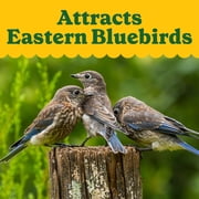 Pennington Classics Cedar Bluebird House With Predator Guard