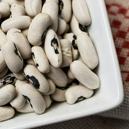(6 Pack) European Soldier Beans