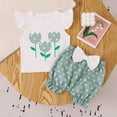 thumbnail image 2 of XZNPDUCQ Toddler Girls Clothes Kids Summer Short Sleeve T-Shirt and Elastic Shorts Outfit 2 Piece Set Short Sets For 6 12 18 24 Months 2T 3T 4T 5T Dailywear Green，6-12 Months, 2 of 8