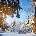 thumbnail image 3 of LELINTA 5x7ft Christmas Backdrop Winter White Snow Wonderland Backdrop Christmas Pine Tree Snowflake Forest Photography Background Bokeh Outdoor Banner Party Decorations Photo Studio Props, 3 of 4