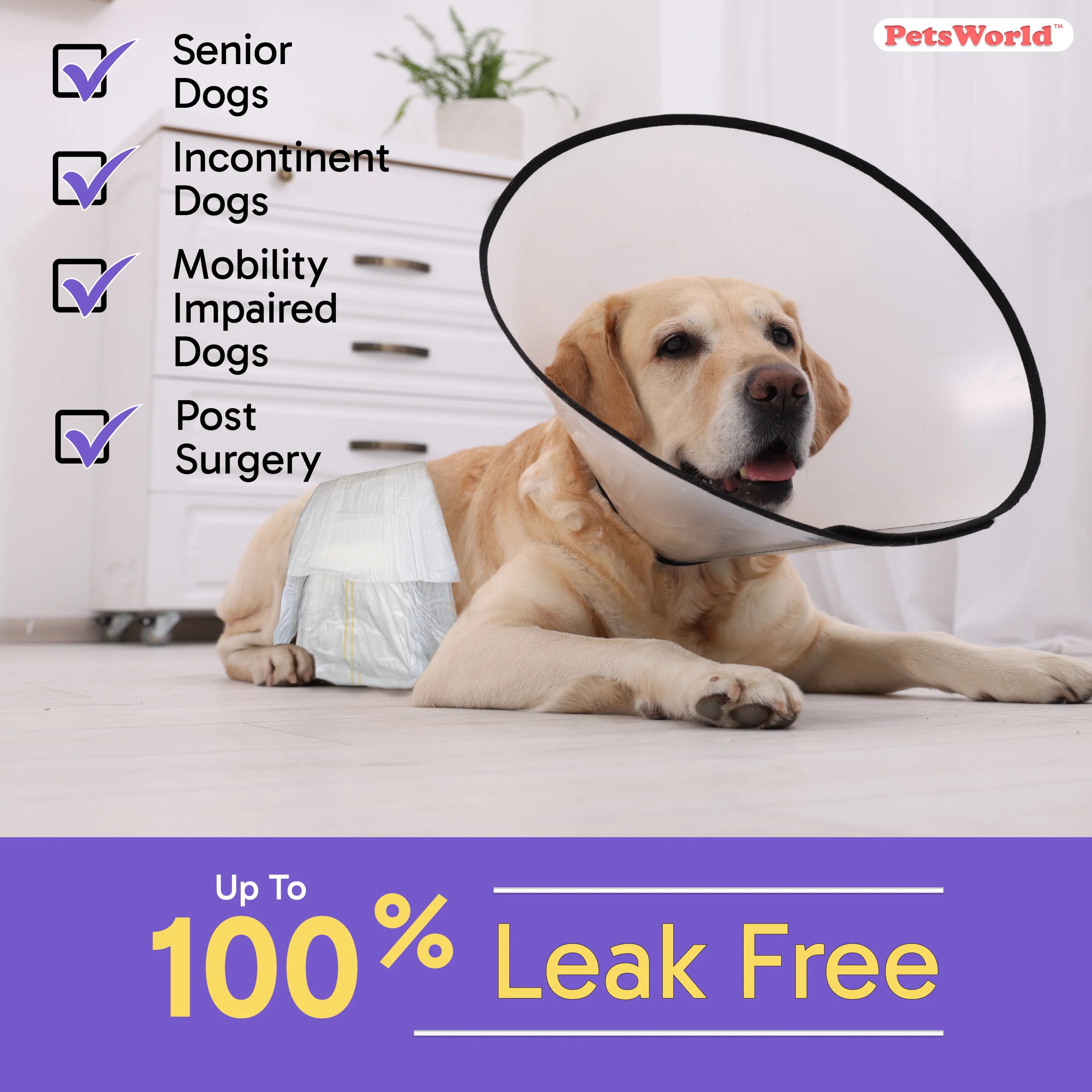 Disposable Dog Wraps for Male Dogs, Super Absorbent Diapers, Leak Proof Fit, Best Comfort Fit (XS), Pack of 100