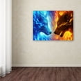thumbnail image 3 of Trademark Fine Art 'Fire and Ice' Canvas Art by JoJoesArt, 3 of 3