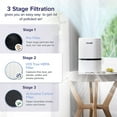 Levoit Air Purifier, True HEPA Air Cleaner for Allergies, Asthma and