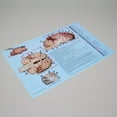 thumbnail image 2 of Carolina Brain Dissection Mat, Step-By-Step Dissection Instructions Printed On Mat, 2 of 2