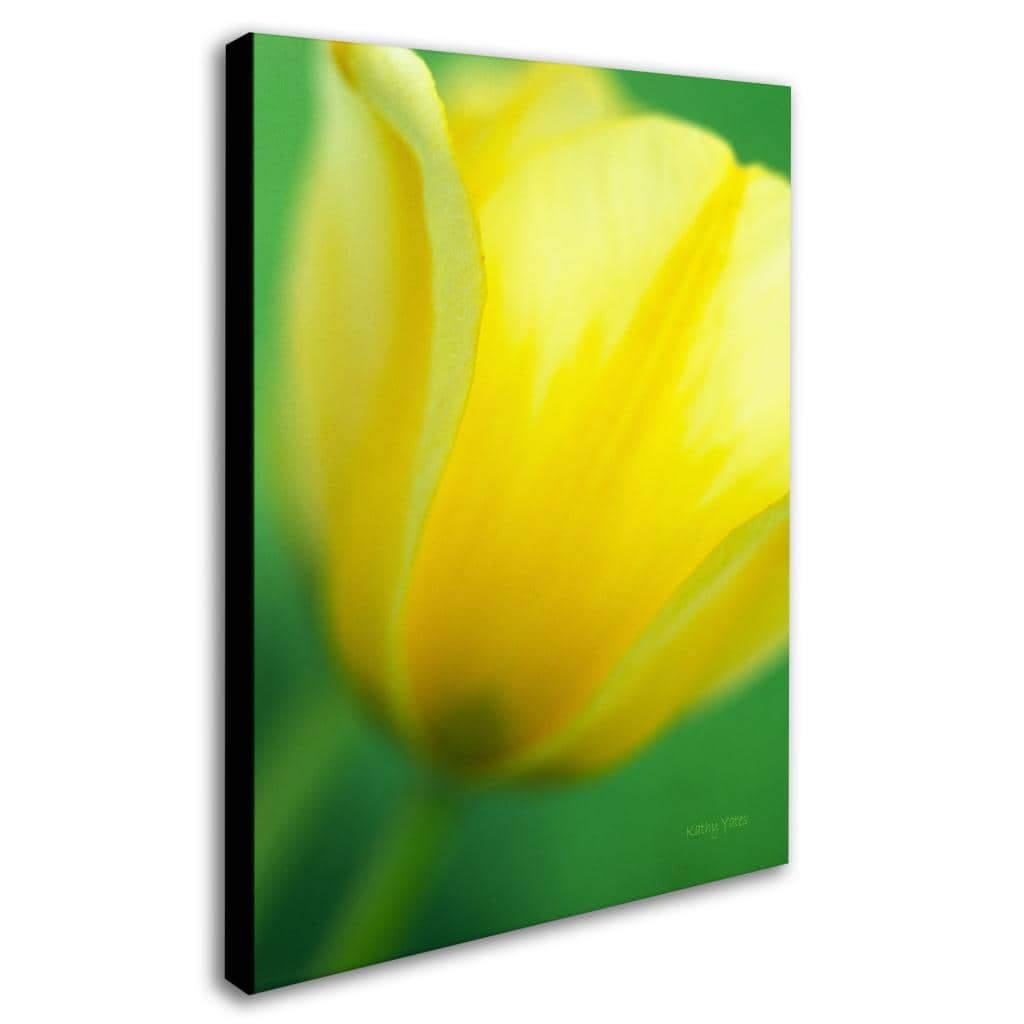 Trademark Fine Art "Hint of a Tulip" Canvas Art by Kathy Yates
