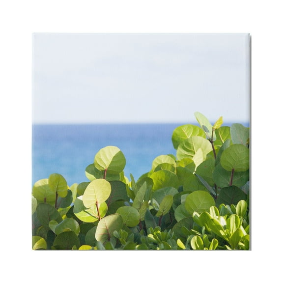 Stupell Industries Lush Greenery Plants Distant Beach Ocean Water Photograph Gallery Wrapped Canvas Print Wall Art, Design by Michael Quackenbush