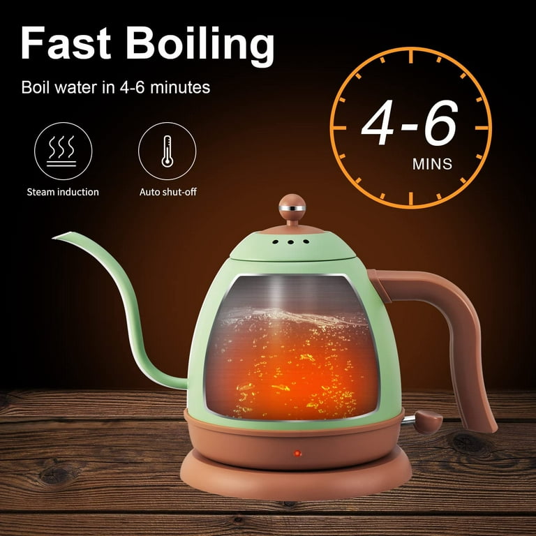 Bsigo gooseneck green electric kettle, with thermometer, stainless