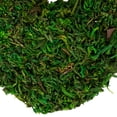 thumbnail image 5 of Northlight Reindeer Moss and Twig Artificial Heart Wreath - 13.5", 5 of 5