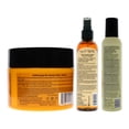 thumbnail image 2 of Agadir Argan Oil Styling Mousse and Moisture Masque With Spritz Styling Finishing Spray - Extra Firm Hold 3 Pc Kit - 8.5oz Mousse, 8oz Masque, 8oz Hair Spray, 2 of 2