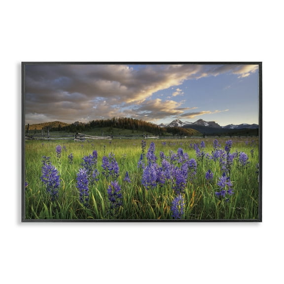 Stupell Industries Lavender Bloom Meadows Landscape & Nature Photography Black Framed Art Print Wall Art, 18 x 12