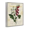 thumbnail image 3 of Stupell Industries Flower over Aged French Page Floral Painting Gray Framed Art Print Wall Art, 11 x 14, 3 of 8