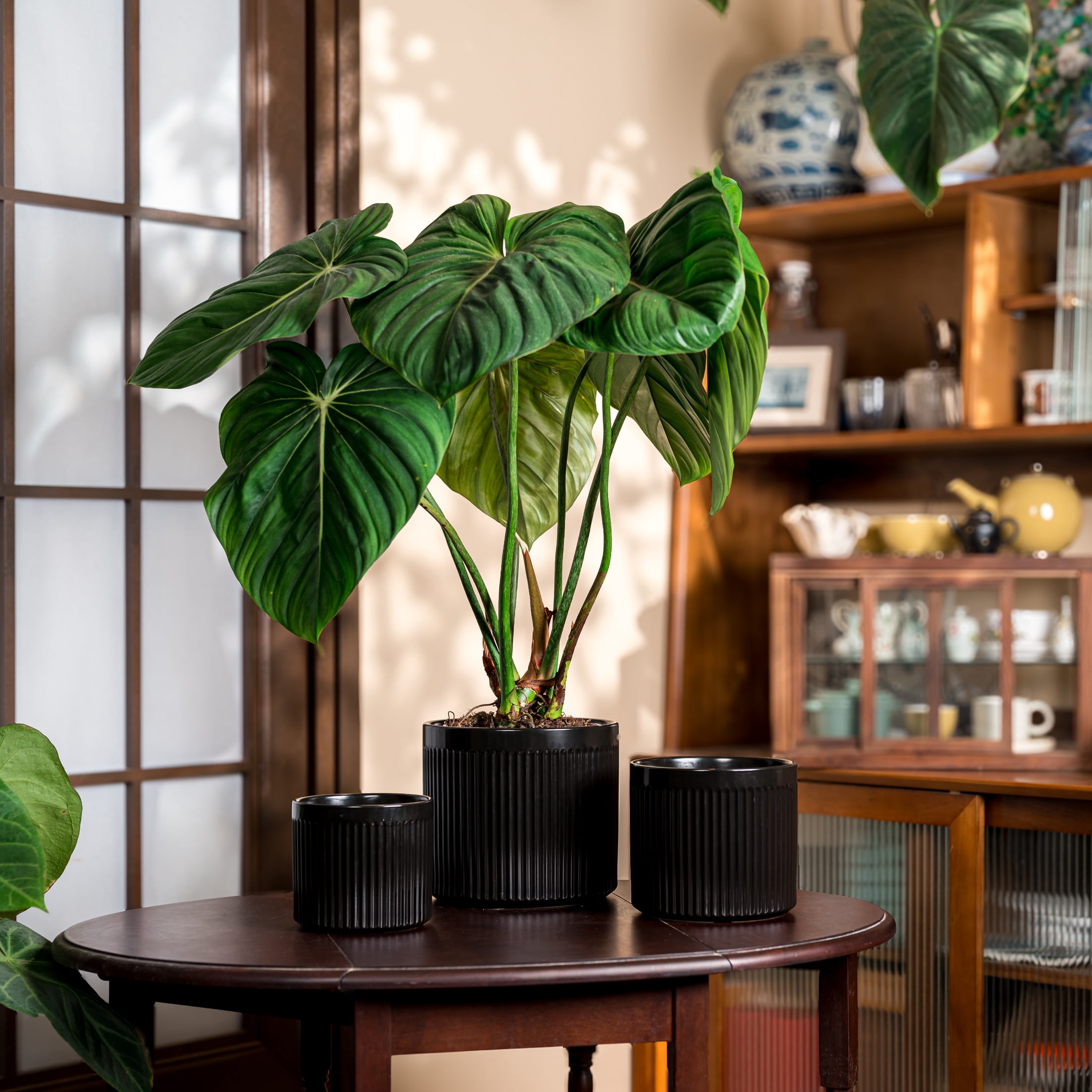 UMIAMOY Modern Cylinder Set of 3 Ceramic Flower Pots,5.7+7.0+8.6 inch Plant Pots with Drainage Holes and Saucer,Indoor Outdoor Planters for Home Patio Garden Decoration