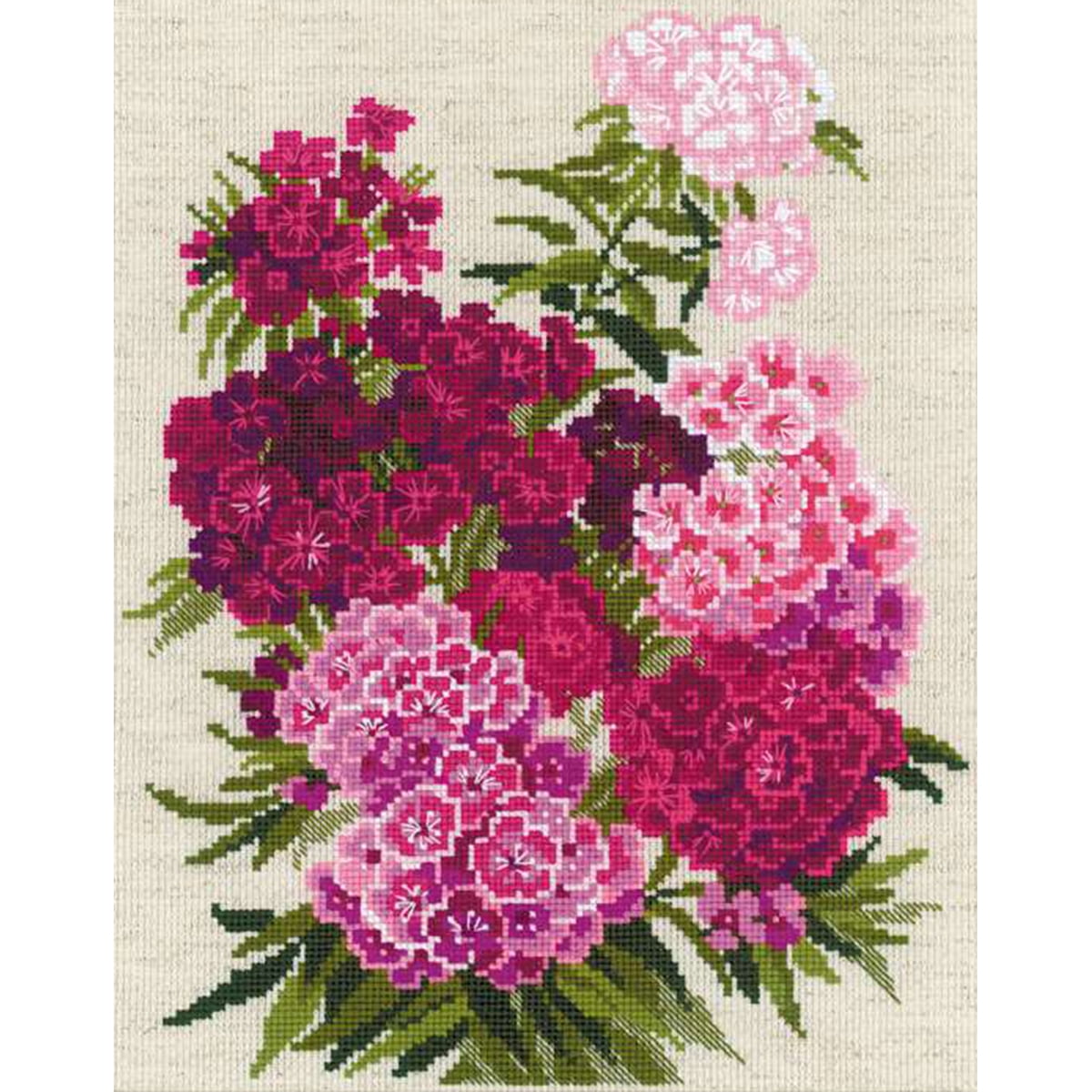 RIOLIS Sweet William Counted Cross Stitch Kit-9.5"X11.75" 14 Count