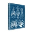 thumbnail image 2 of Trademark Fine Art 'Marine Blueprint V' Canvas Art by Vision Studio, 2 of 4
